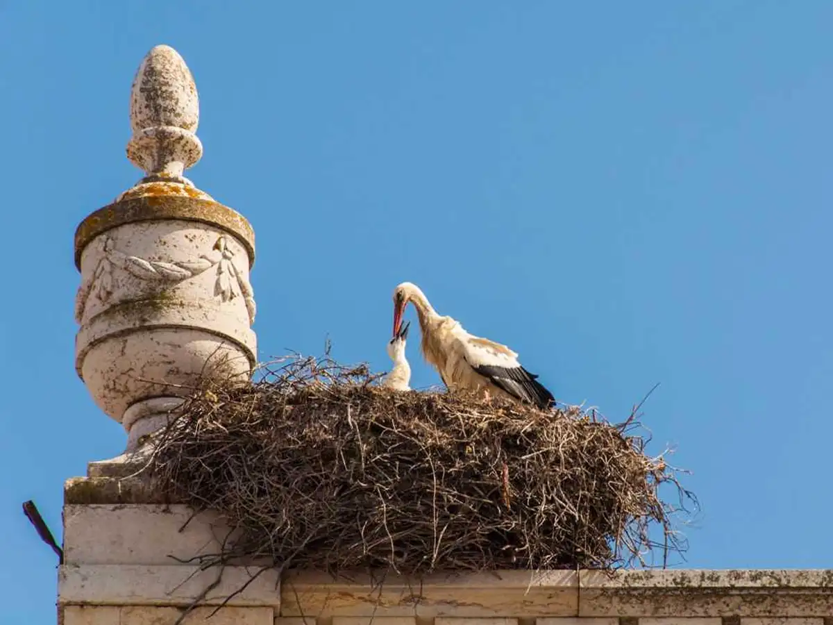 uma-casa-rural-activities-42