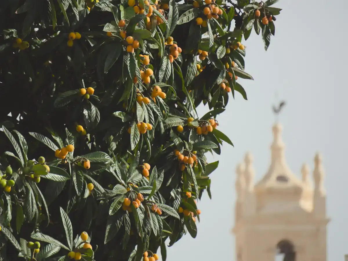 uma-casa-rural-activities-992